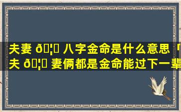 夫妻 🦊 八字金命是什么意思「夫 🦊 妻俩都是金命能过下一辈子来吗」